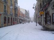 León nevado 28/01/2006